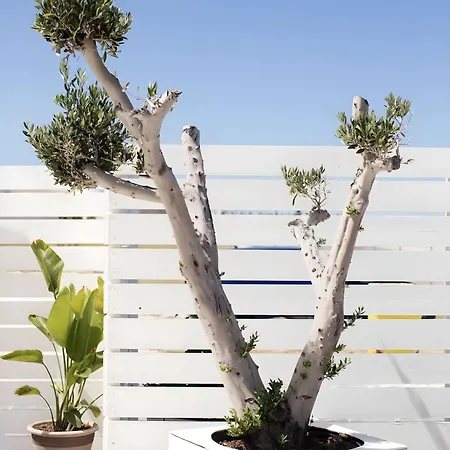 Hotel Hotiday Lungomare 3*